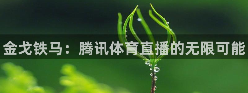 9255tv直播无插件nba