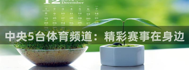 9255tv直播nba在线直播：中央5台体育频道：精彩赛事在身边