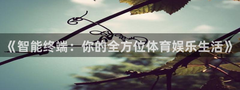 9255tv直播nba在线直播：《智能终端：你的全方位体育娱乐生活》